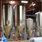 équipement de brassage de bière en acier inoxydable 1000L 2000L cuve de fermentation brasserie Unitanks conçus sur mesure