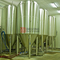 Équipement professionnel commercial industriel de brassage de bière de 15BBL à vendre