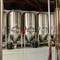 500L pression et isolé cuve de fermentation de la bière en acier inoxydable à vendre