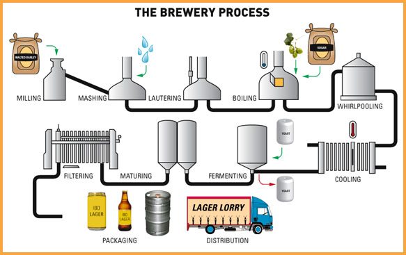le processus de brassage