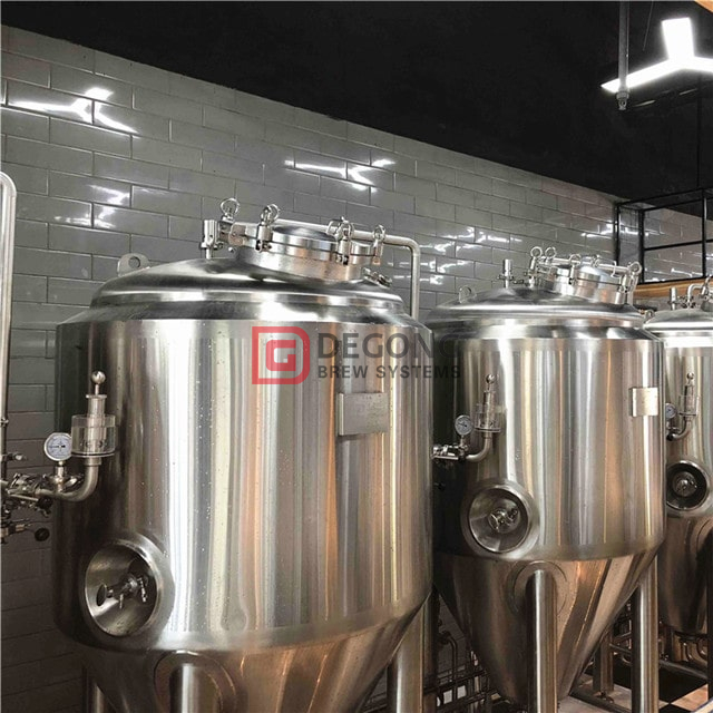 Équipement de brassage de bière artisanale industrielle à 2 navires 1000L à vendre