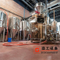 500L 5HL artisanat clé en main 3 navires en acier inoxydable équipement de brassage de bière système de brasserie à vendre